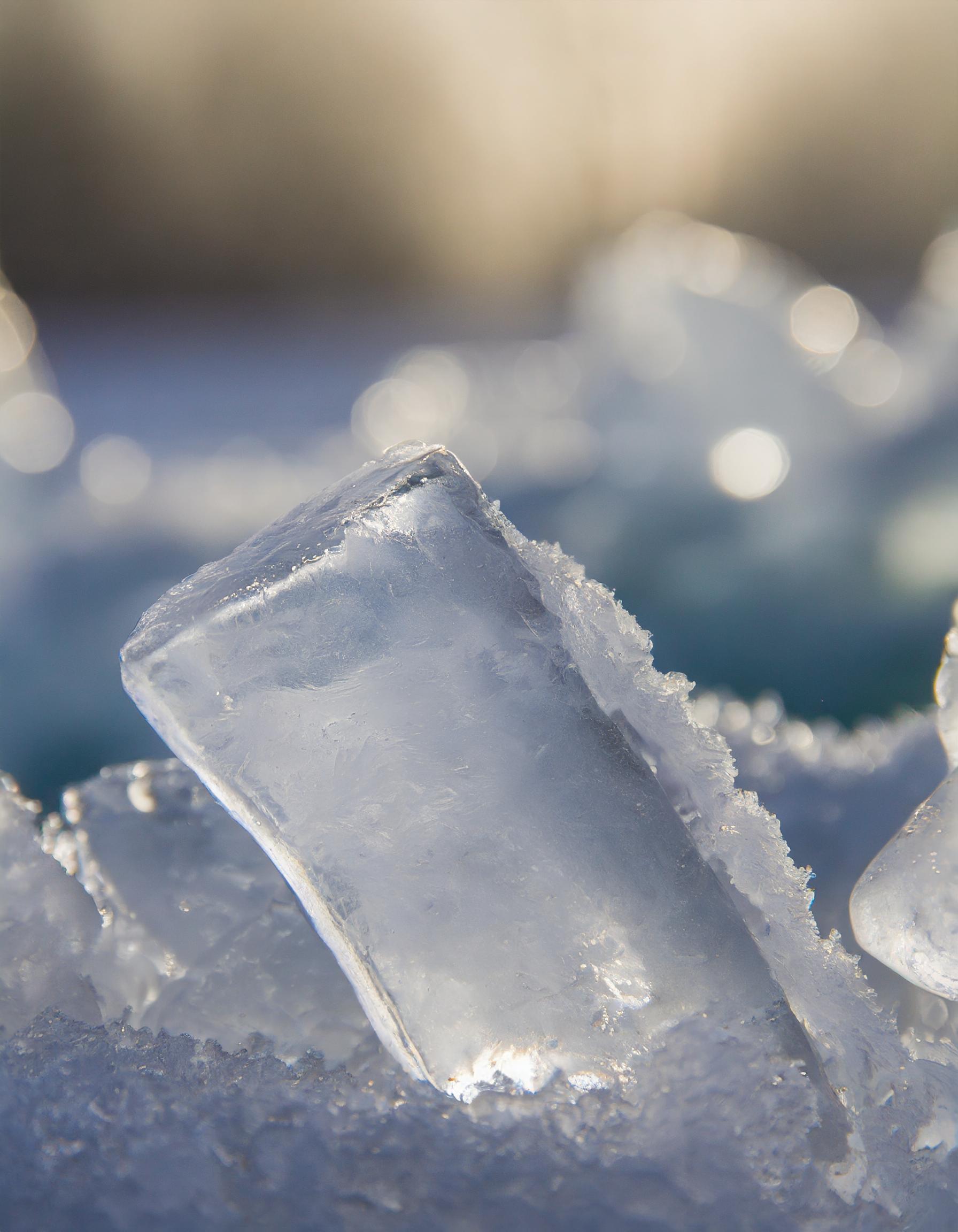 Detailaufnahme von hochwertigem Eis in einer klassischen Dessertschale